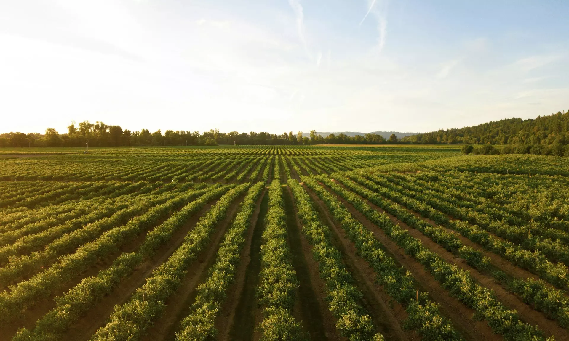 ✈ 6-Day Portugal Wine & Food RoadTrip w/ Air, Car & Hotel from Worldee