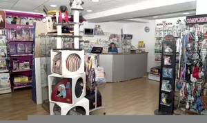 Esterilización de una perra de hasta 10 kg, entre 10 y 30 kg o más de 30 kg desde 149 € en L'Arc de L'Eixample