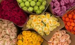 24 or 36ct Roses Long Stem Rose Bouquet | Farm Fresh (Up to 74% Off)