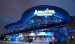 Landry's eGift Card and Downtown Aquarium Denver Tickets
