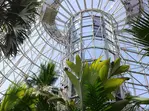 CityPASS- Save up to 40% on Admission to Top San Antonio Attractions