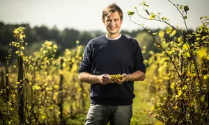 Odkryj tajemnice winiarstwa: zwiedzanie Winnicy Zbrodzice z degustacją (do -21%)