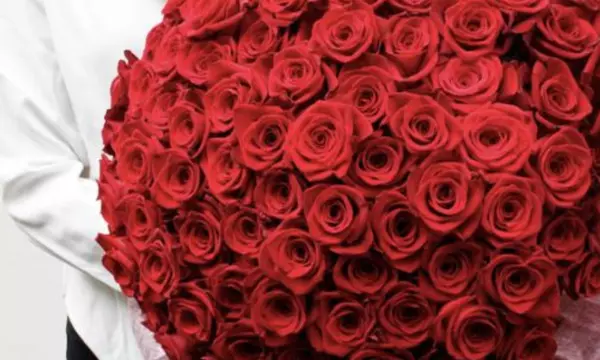 24, 36, 48, or 96 Luxury Long Stem Rose Bouquet (Red Roses or Choice of Color) from Rose Farmers (Up to 70% Off) - Second Medium