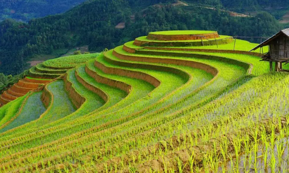 Discover Vietnam in 7 Days! Meals, Transfers & More from Just $599!