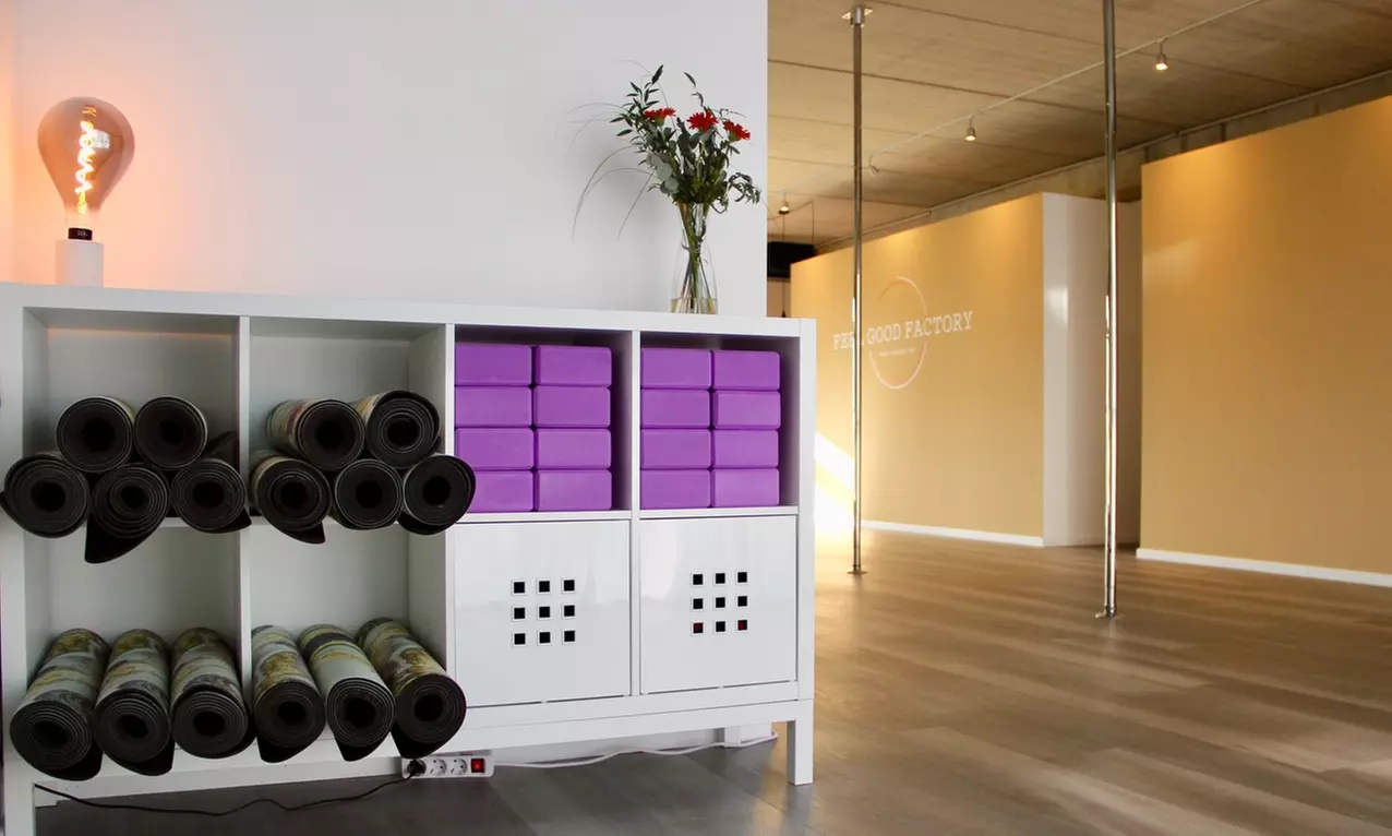 Pole Dance Probestunde in der Feel Good Factory