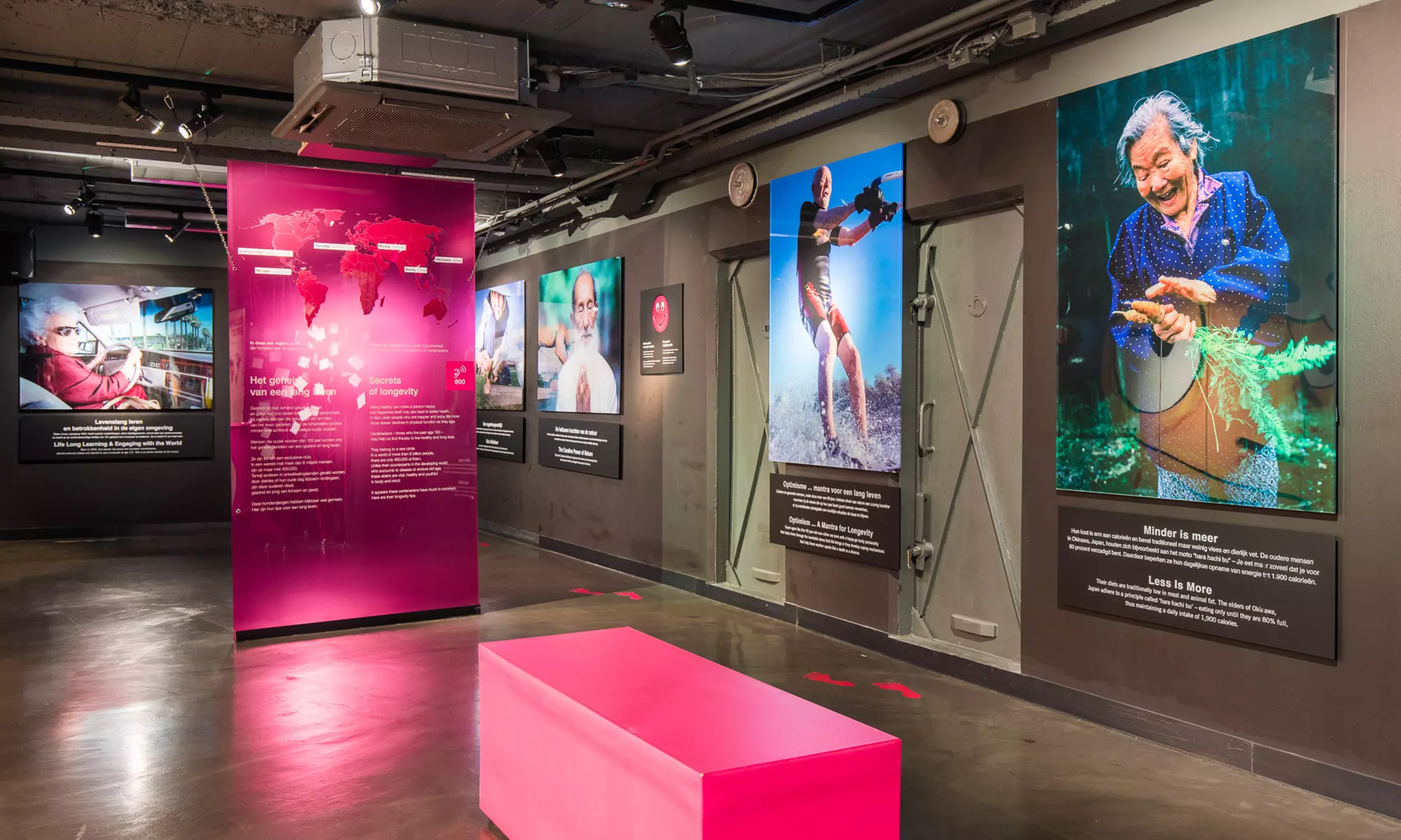 Erlebe den menschlichen Körper: Ticket für Körperwelten Amsterdam