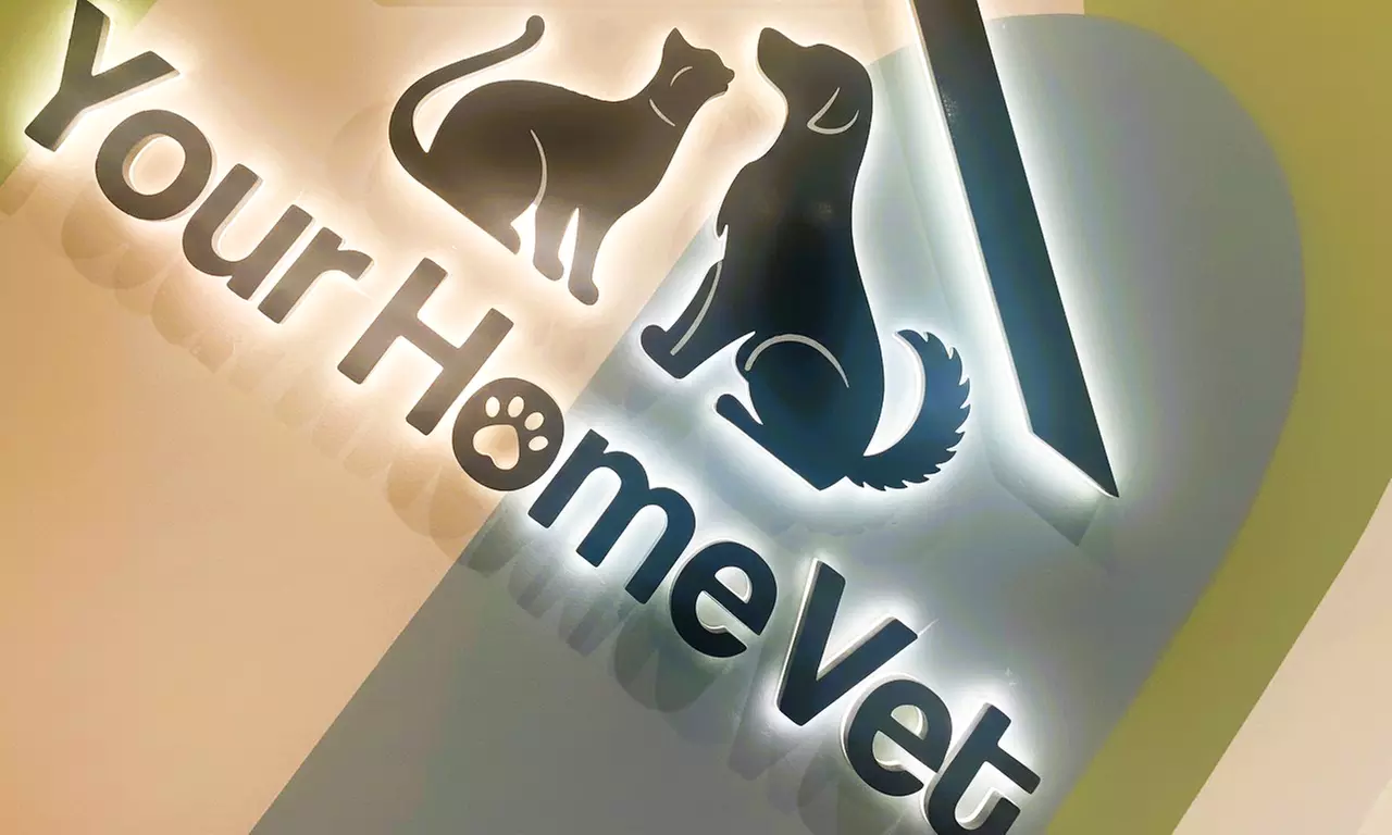 Cat or Small, Medium, Large or X-Large Dog Basic or Full Grooming