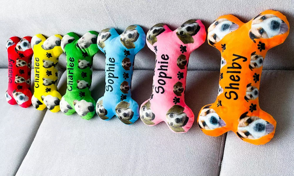 Individuelles Haustier-Spielzeug