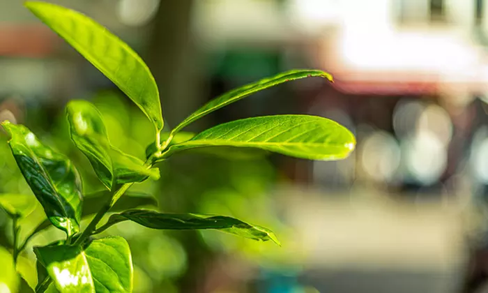 Foto-Webinar: Grundlagen der Fotografie