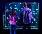 SEA LIFE Aquarium San Antonio Admission (Up to 50% Off)