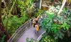 California Academy of Sciences: All Access Ticket Deals!
