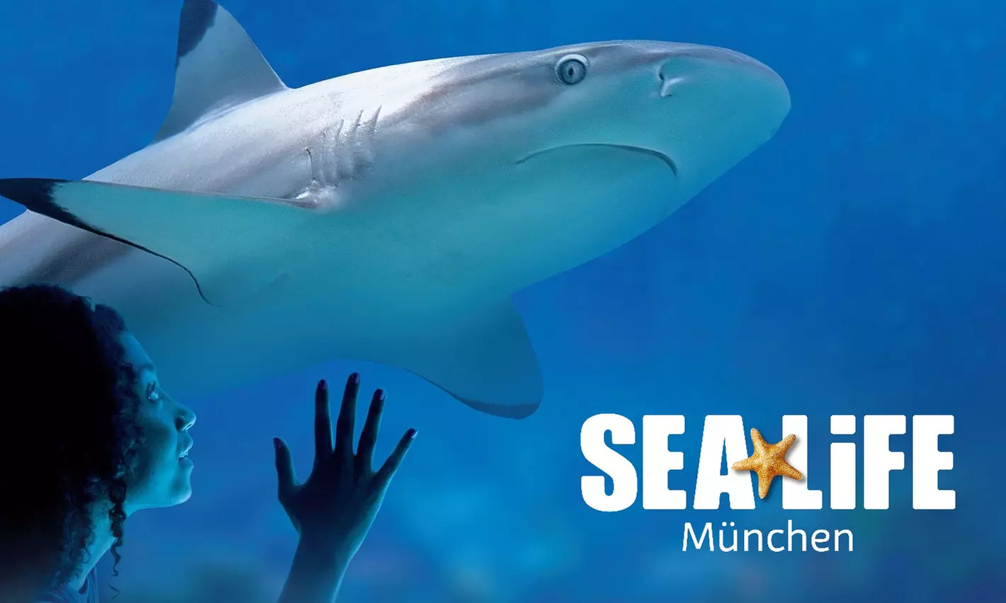 Ticket für 1 Kind oder 1 Erwachsenen für das „SEA LIFE München“