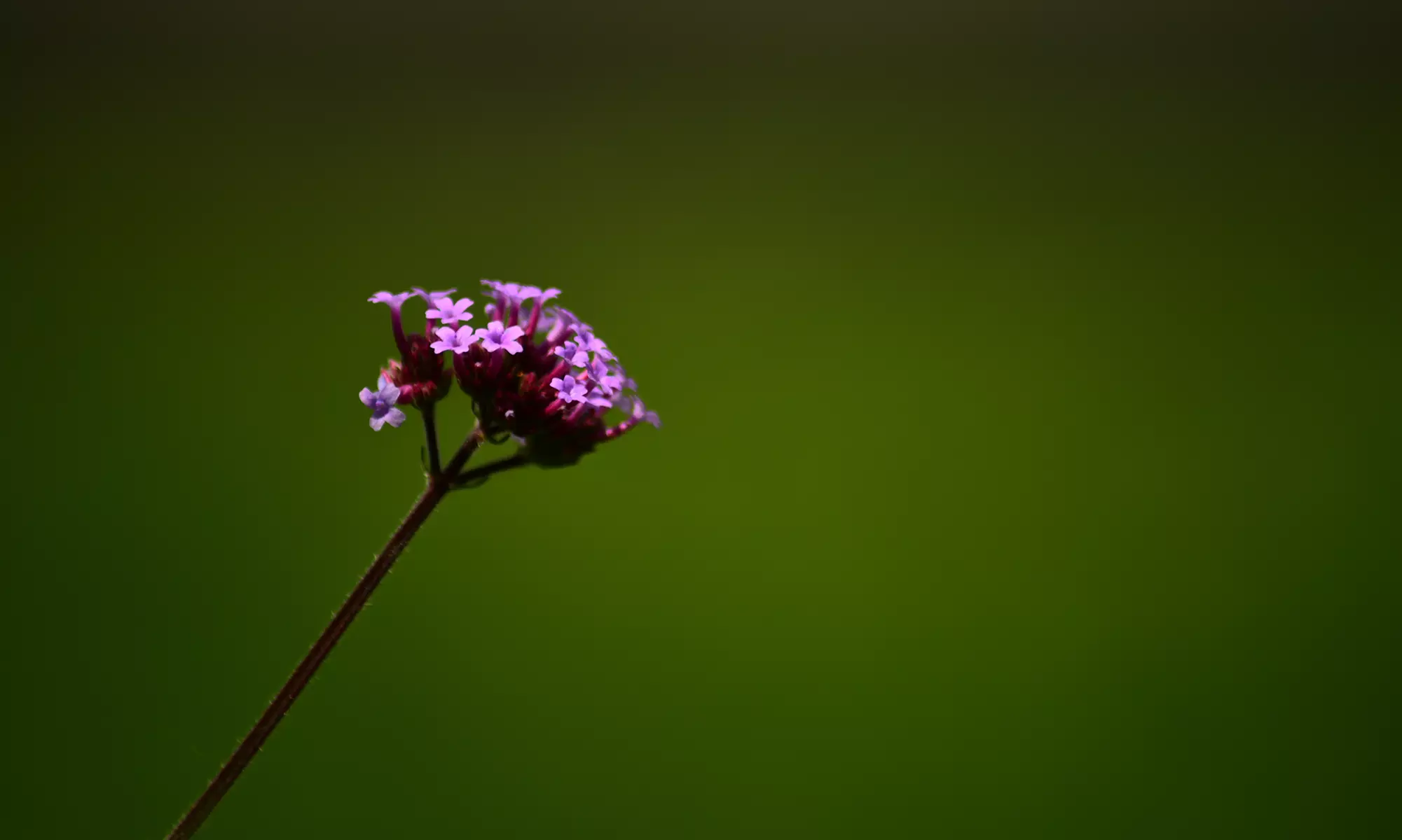 Grundlagen-Fotokurs für Einsteiger in kleiner Gruppe
