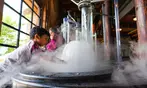 Hands On Children's Museum Deals - Interactive Exhibits & Adventures