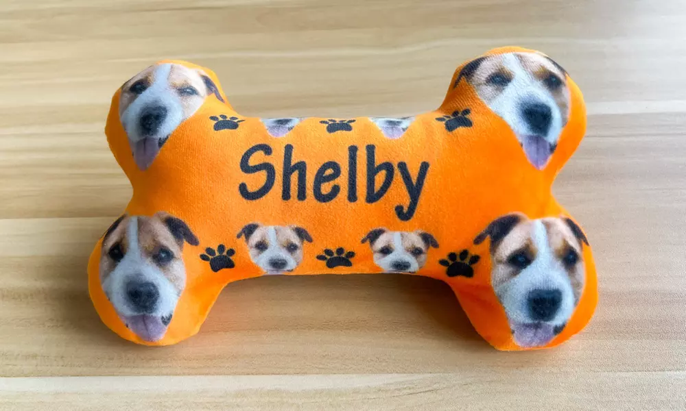 Individuelles Haustier-Spielzeug