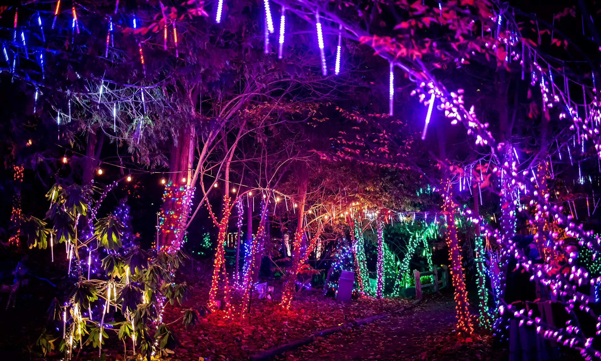 Casa Loma Presents Holiday Lights (Up to 19% Off)