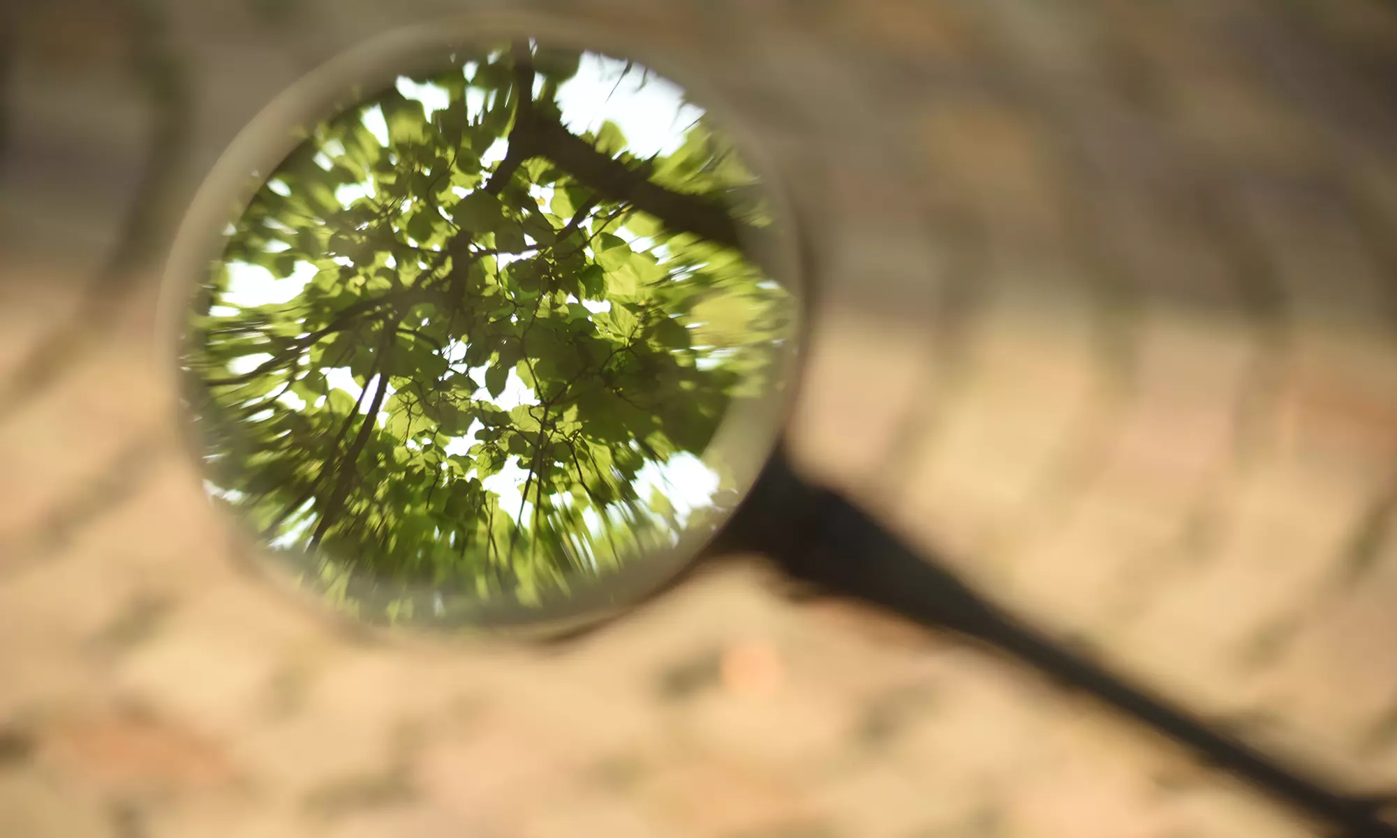 Grundlagen-Fotokurs für Einsteiger in kleiner Gruppe