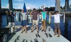 Half-Day, Shark & Sunset Fishing Trip in Myrtle Beach, South Carolina