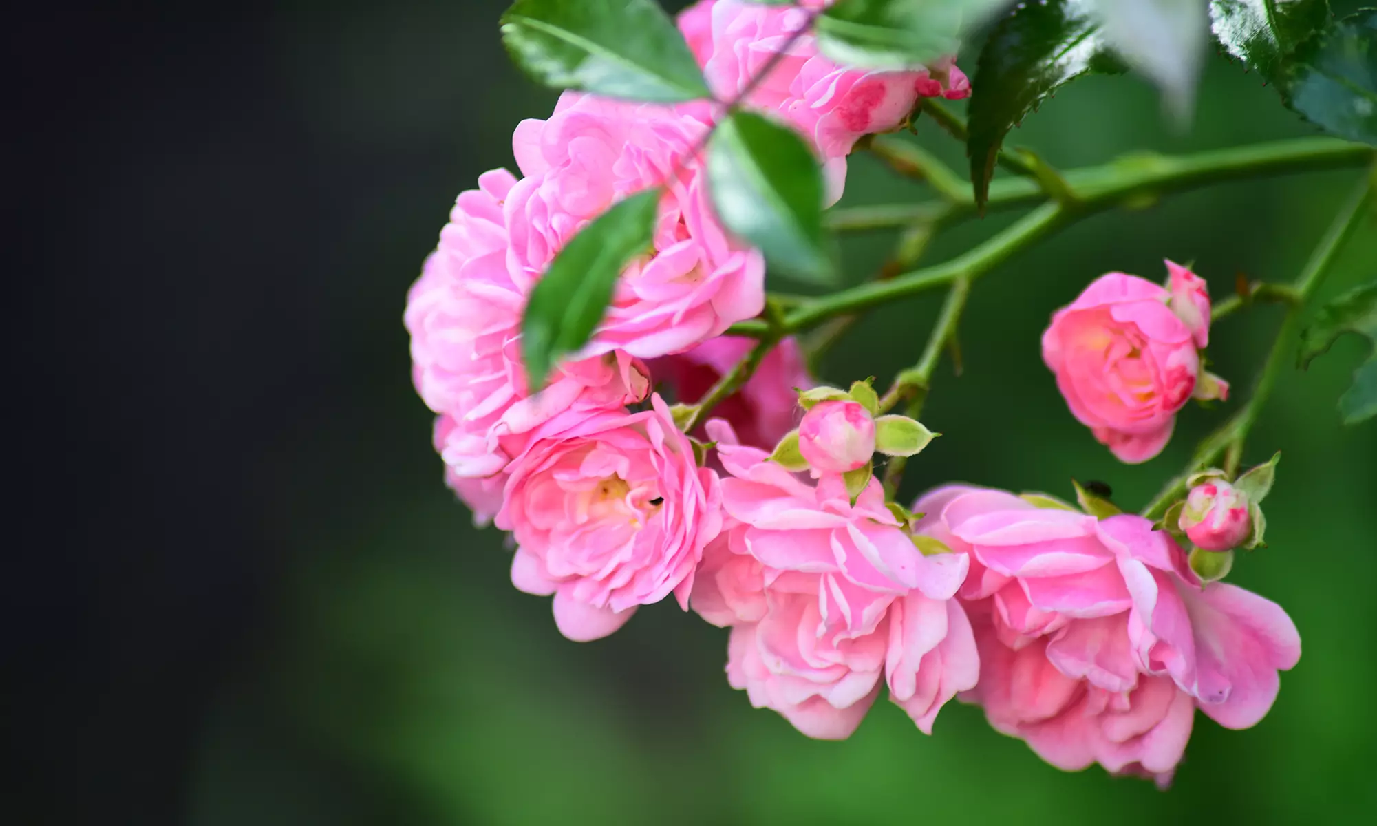 Grundlagen-Fotokurs für Einsteiger in kleiner Gruppe