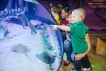 SEA LIFE Aquarium San Antonio Admission (Up to 50% Off)
