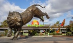 San Diego Zoo Admission Deals & Discounts