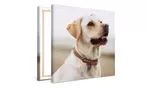 Small Personalized Canvas Sets, Up to 87% Off