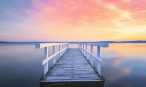 60 oder 90 Minuten Life-Coaching online bei Christine Schnelle Life & Naturcoach (bis zu 72% sparen*)