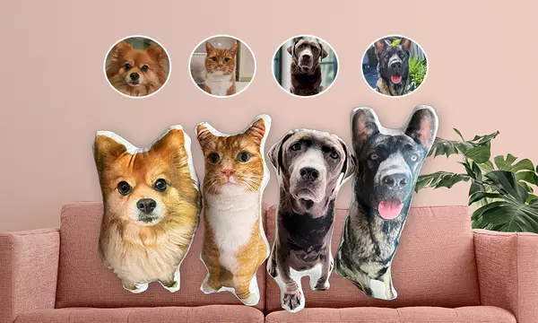 One Custom 3D Pet Pillow from Justyling (70% Off) - Second Medium