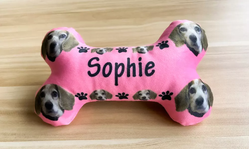 Individuelles Haustier-Spielzeug
