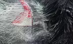 Up to 30% Off Car Wash at Hayward Carwash