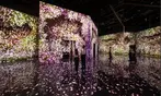 ARTE MUSEUM Las Vegas Ticket Deals & Discounts