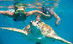 Full-Day 16-Location Oahu Circle Island and Snorkeling Tour