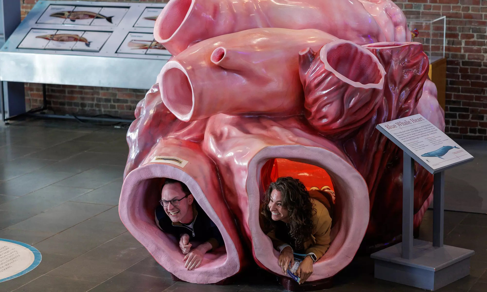 New Bedford Whaling Museum Admission