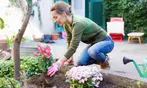 AARP 1-Year Membership for $15 with automatic renewal + Free Gift (25% off standard price)