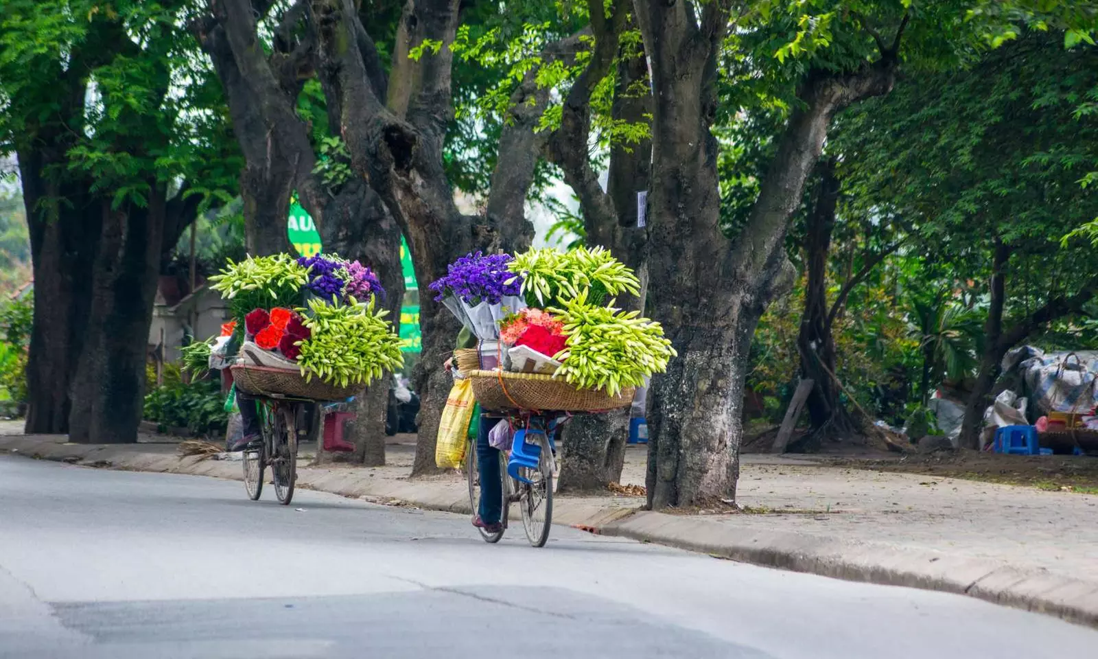 Vietnam: 10-Day Getaway with Meals