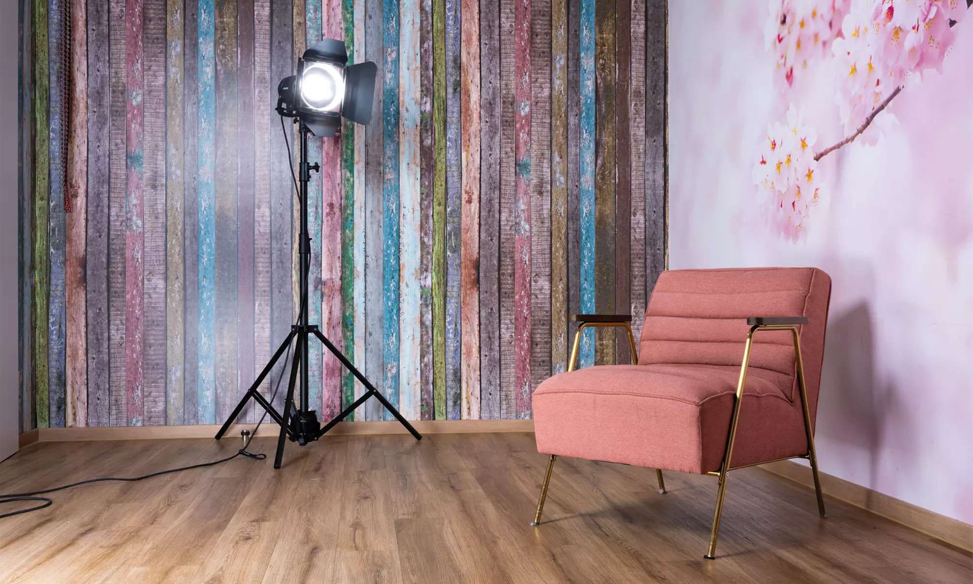 60 Min. studioline PHOTOGRAPHY Fotoshooting Erlebnis + Goldcard