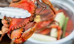 Premium Large Maryland Blue Crabs - Perfect Gift!