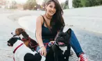 Learn Dog Walking Skills Online with Expert Guidance
