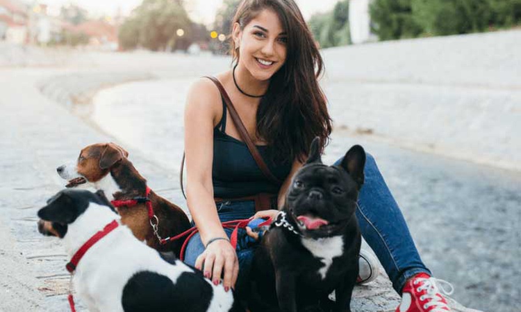 Discover Dog Walking Skills with Holly and Hugo's Course, Featuring up to 89% Off