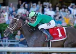 Horse Racing at Emerald Downs - Up to 41% Off