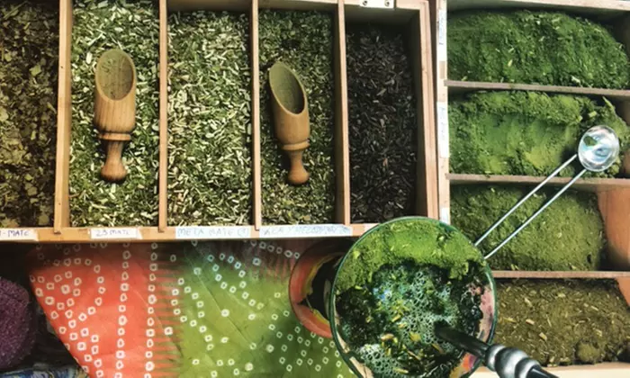 Mate-Teeseminar inkl. Verkostung und 15% auf dem Shop