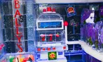 Up to 51% Off minus5° ICEBAR Cool Experience Ticket Deals for 1-6 People