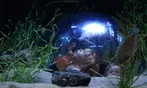Aquarium of the Bay Ticket Deals & Discounts