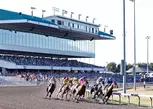 Horse Racing at Emerald Downs - Up to 41% Off