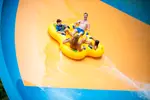 FLASH SALE! Hurricane Harbor Concord Single Day Tickets – 50% Off