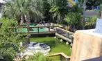 Mini-Golf Deals For One, Two, Three, or Four - Play Among Live Gators (Up To 50% Off)