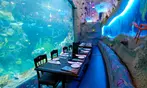 Landry's eGift Card and Downtown Aquarium Denver Tickets