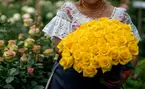 24 or 36ct Roses Long Stem Rose Bouquet | Farm Fresh (Up to 74% Off)