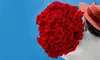 24, 36, 48, or 96 Luxury Long Stem Rose Bouquet (Red Roses or Choice of Color) from Rose Farmers (Up to 70% Off)