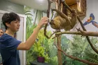 African Safari Wildlife Park: Drive & Walk-Thru Safari w/ 400+ Animals